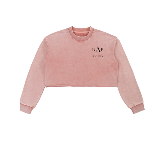 Snow Washed Raw Edge Cropped Sweatshirt
